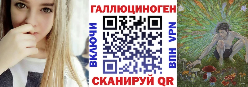 площадка формула  дарнет шоп  Павловский Посад  Псилоцибиновые грибы Cubensis 